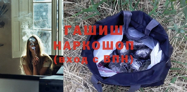 стафф Бородино
