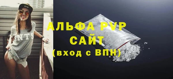 стафф Бородино
