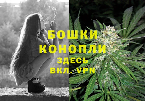 тгк Бронницы