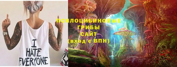 стафф Бородино