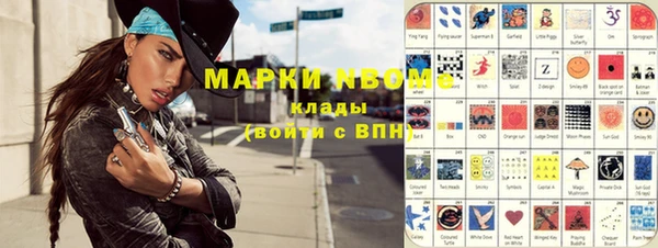 стафф Бородино