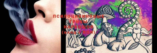 тгк Бронницы
