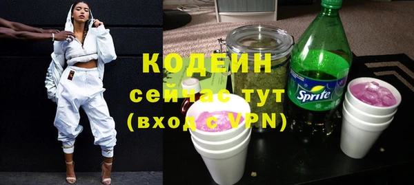 стафф Бородино