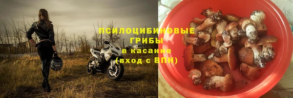 тгк Бронницы