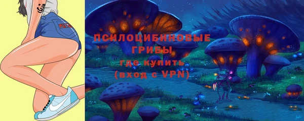 тгк Бронницы